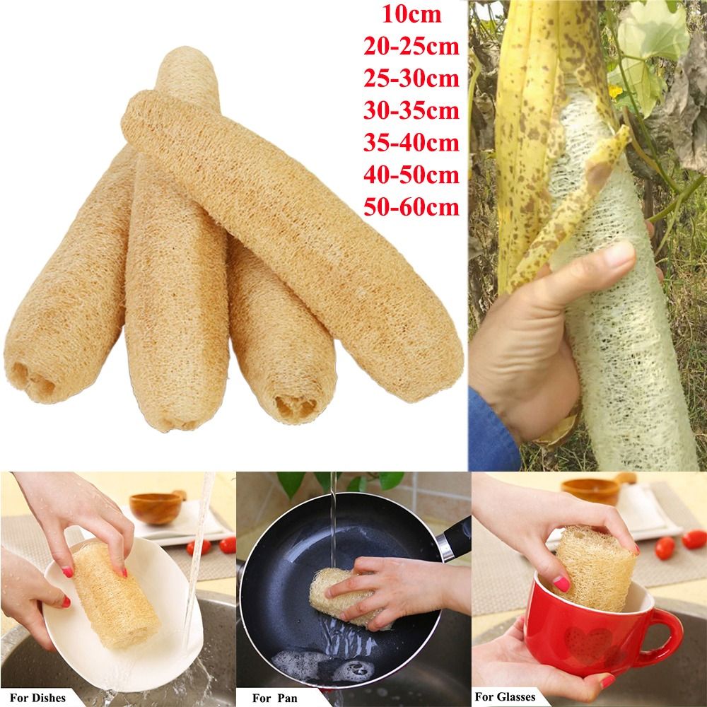 Natural Loofah Luffa Sponge No - đánh giá và giá Body Loofah Natural