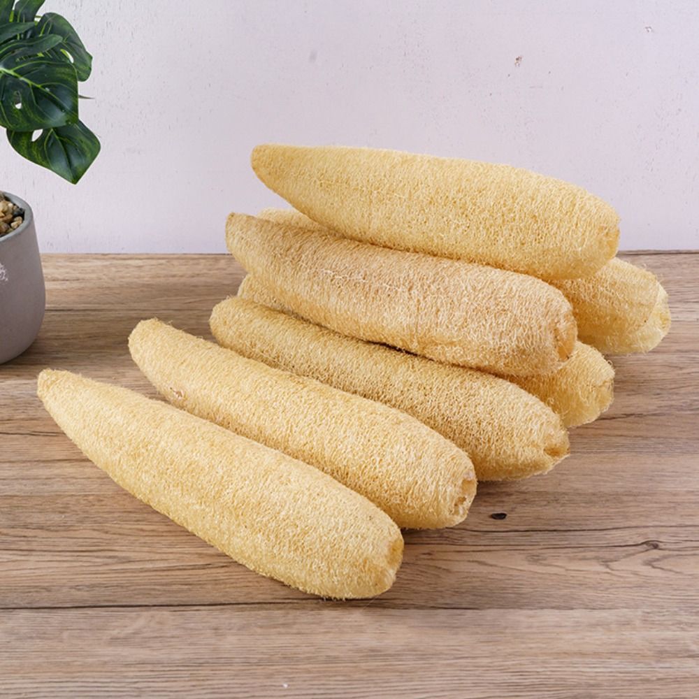 Natural Loofah Luffa Sponge No - đánh giá và giá Body Loofah Natural