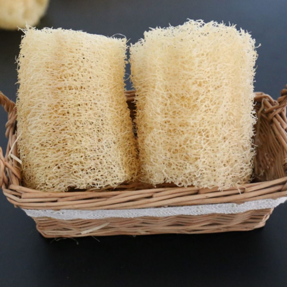 Natural Loofah Luffa Sponge No - đánh giá và giá Body Loofah Natural