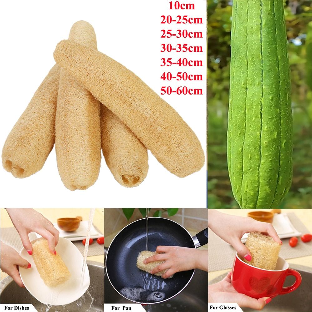 Natural Loofah Luffa Sponge Lo - đánh giá và giá Body Loofah Natural