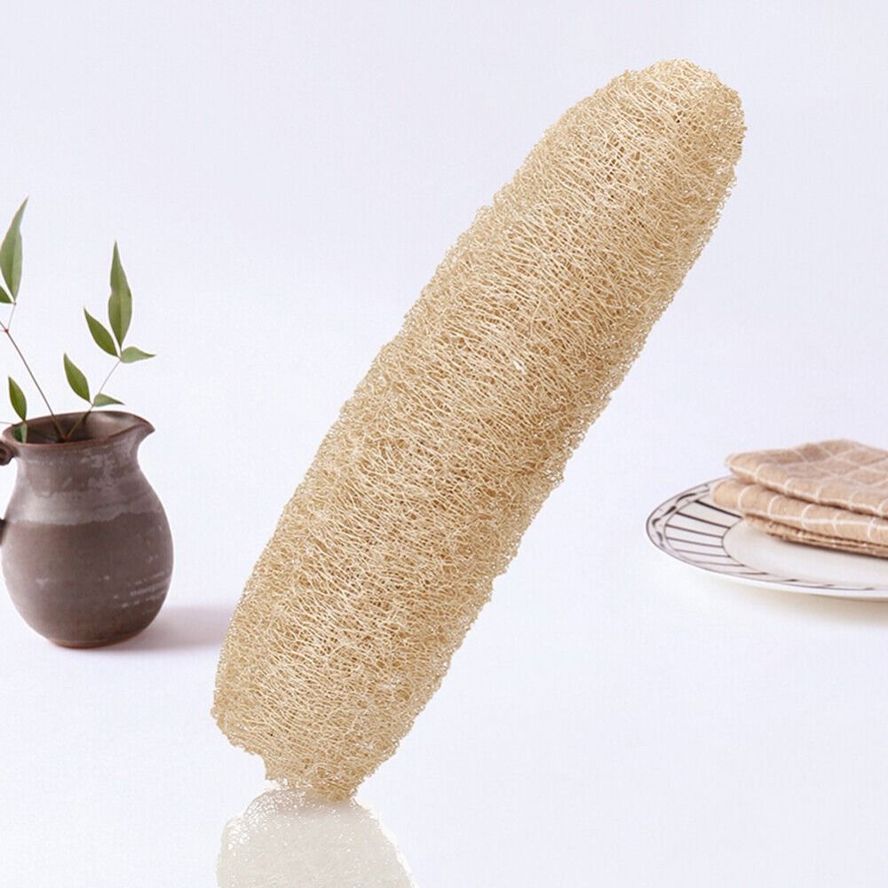 Natural Loofah Luffa Sponge Lo - đánh giá và giá Body Loofah Natural