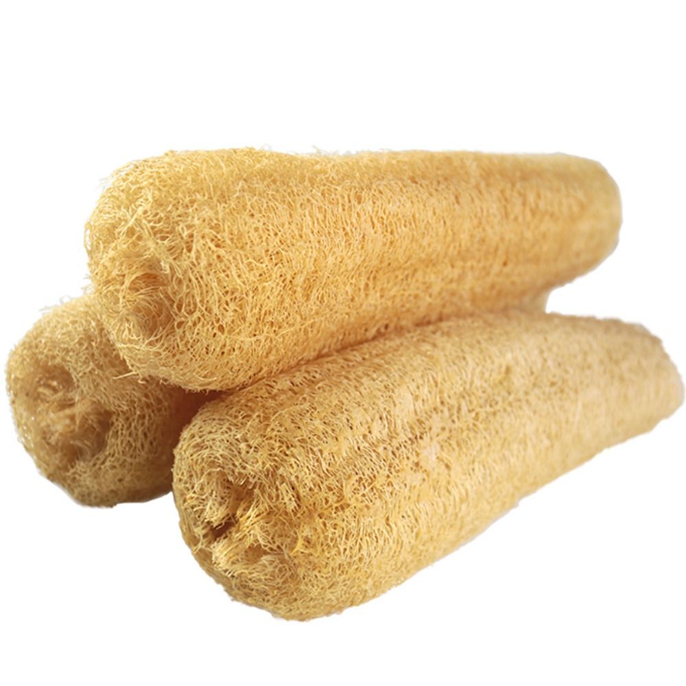 Natural Loofah Luffa Sponge Lo - đánh giá và giá Body Loofah Natural