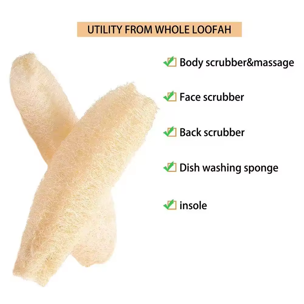Natural Loofah Sponge Multi-pu - đánh giá và giá Body Loofah Natural