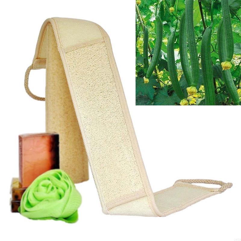 28ta 70cm tự nhiên loofah lại  - đánh giá và giá Body Loofah Natural