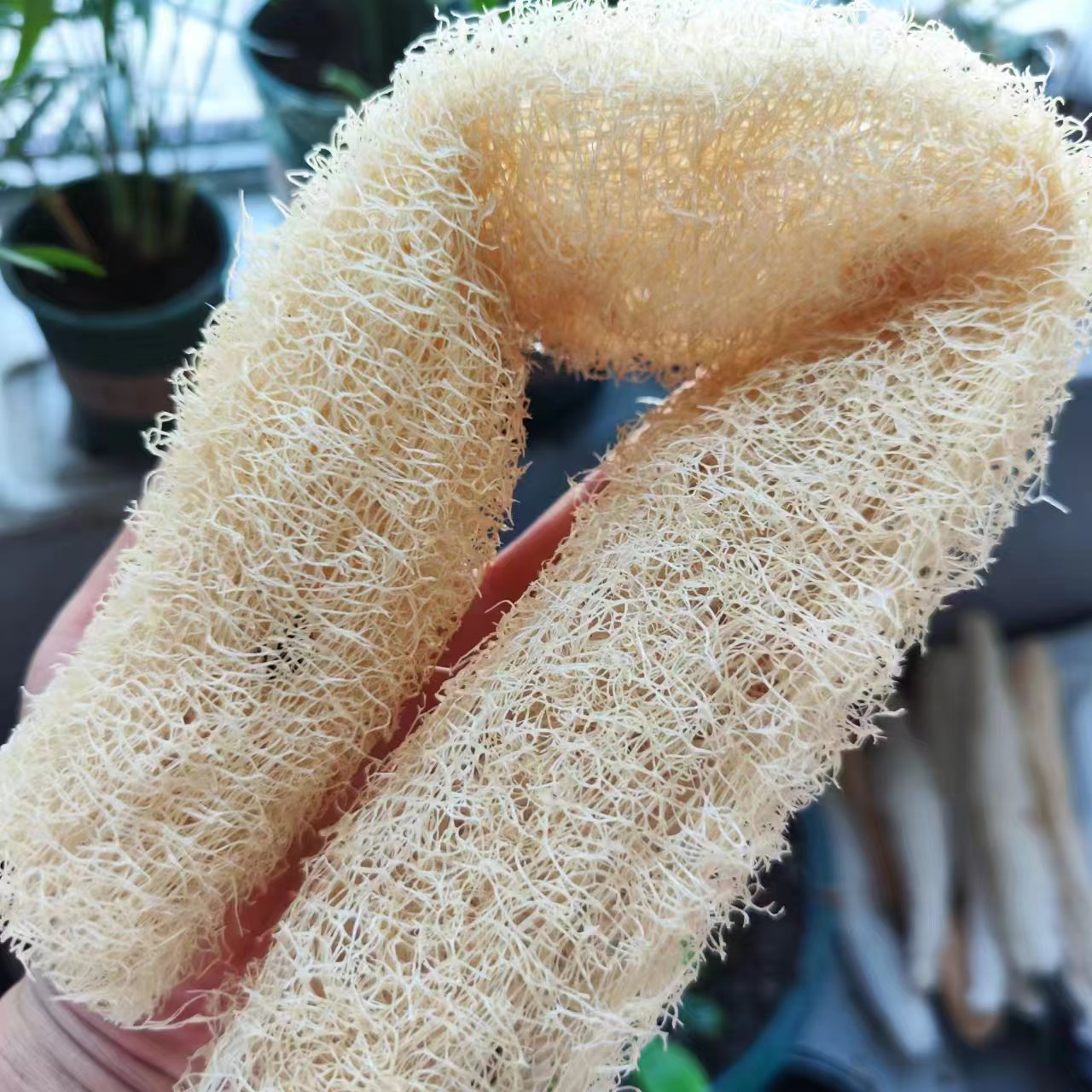 Marvelous Loofah Sponge Versat - đánh giá và giá Body Loofah Natural