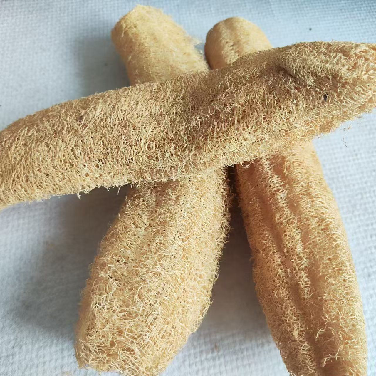 Marvelous Loofah Sponge Versat - đánh giá và giá Body Loofah Natural